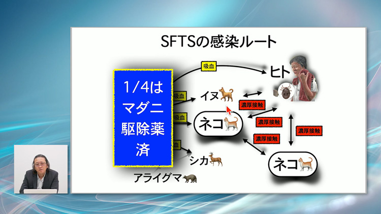 Q.レッグペルテス病の「術後の障害リスクが低い」安全な切除部位はどっち？