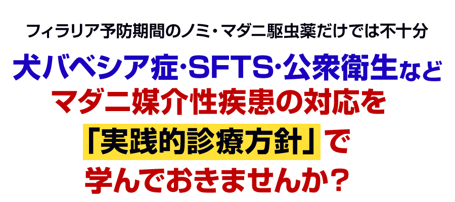 犬バベシア症・SFTS・公衆衛生などマダニ媒介性疾患の対応を「実践的診療方針」で学んでおきませんか？
