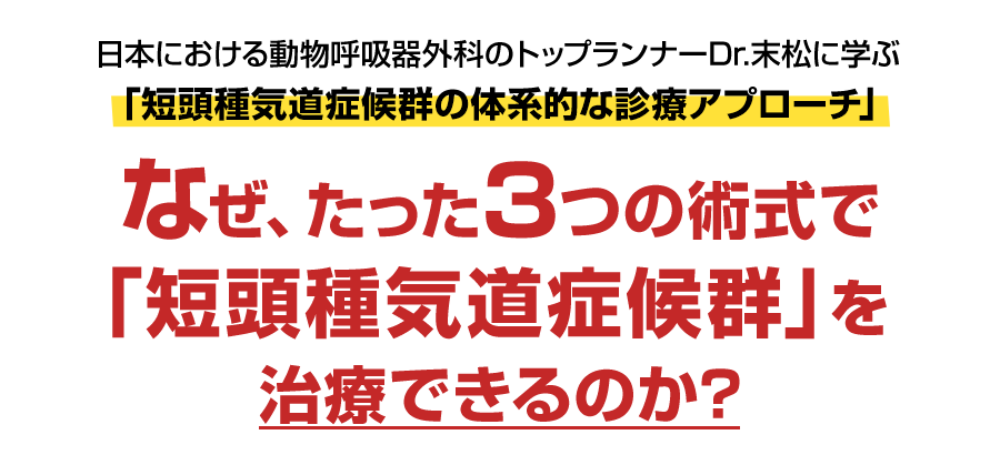日本における動物呼吸器外科のトップランナーDr.末松に学ぶ「短頭種気道症候群の体系的な診療アプローチ」なぜ、たった３つの術式で「短頭種気道症候群」を治療できるのか？
