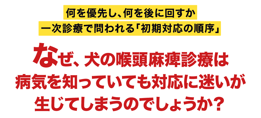 何を優先し、何を後に回すか一次診療で問われる「初期対応の順序」なぜ、犬の喉頭麻痺診療は病気を知っていても対応に迷いが生じてしまうのでしょうか？