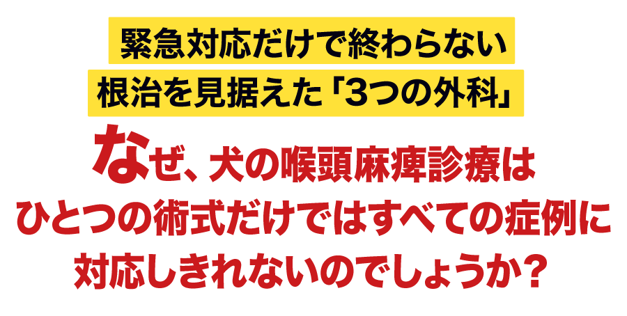 緊急対応だけで終わらない根治を見据えた「3つの外科」なぜ、犬の喉頭麻痺診療はひとつの術式だけではすべての症例に対応しきれないのでしょうか？