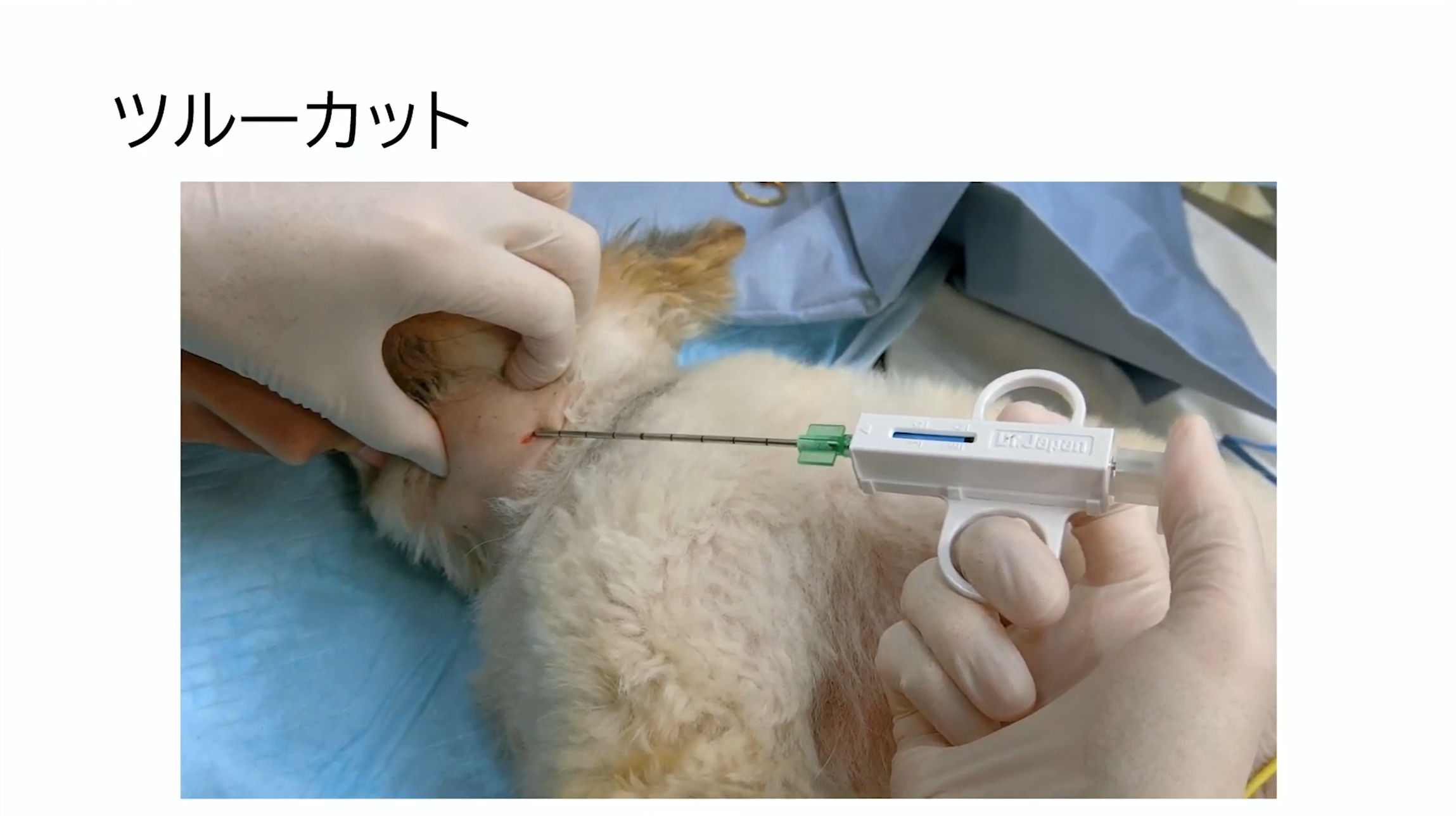 ツルーカットのコツ