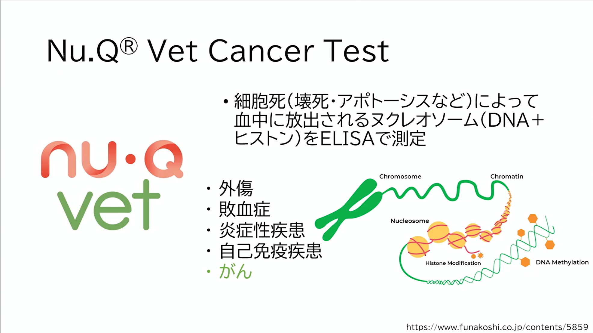 腫瘍マーカーとは？