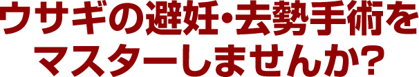 ウサギの避妊・去勢手術をマスターしませんか？
