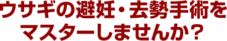 ウサギの避妊・去勢手術をマスターしませんか？