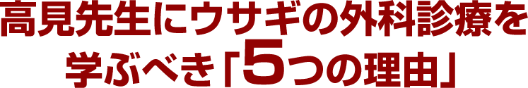 高見先生にウサギの外科診療を学ぶべき「5つの理由」