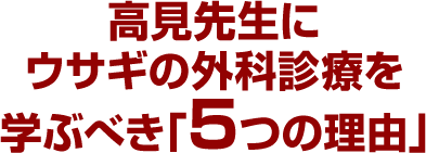 高見先生にウサギの外科診療を学ぶべき「5つの理由」