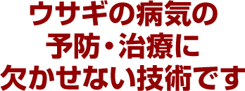 ウサギの病気の予防・治療に欠かせない技術です