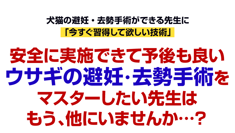 安全に実施できて予後も良いウサギの避妊・去勢手術をマスターしたい先生はもう、他にいませんか…？