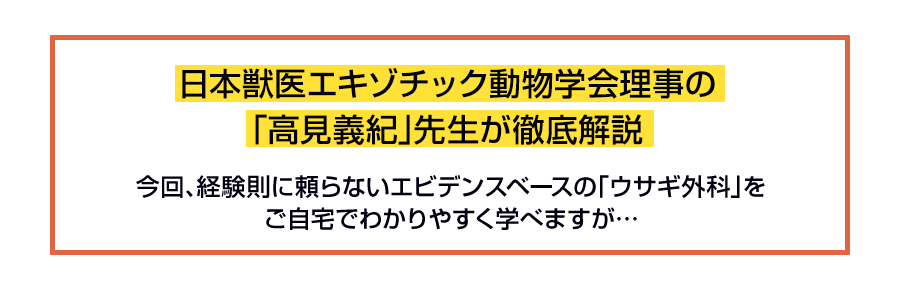 日本獣医エキゾチック動物学会理事の「高見義紀」先生が徹底解説