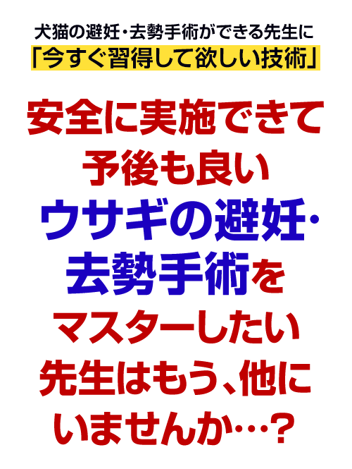安全に実施できて予後も良いウサギの避妊・去勢手術をマスターしたい先生はもう、他にいませんか…？