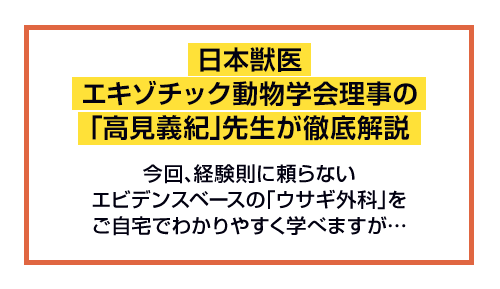 日本獣医エキゾチック動物学会理事の「高見義紀」先生が徹底解説