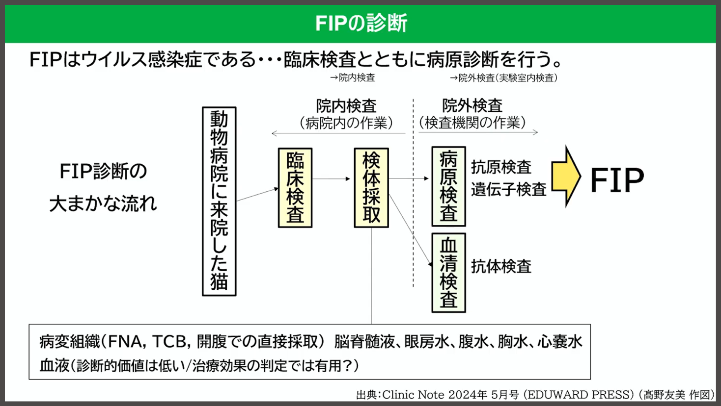 FIPの診断