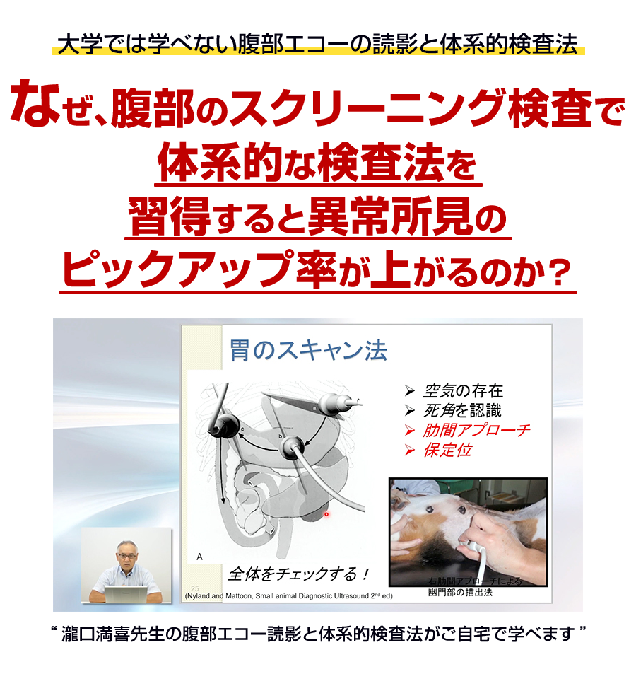 大学では学べない腹部エコーの読影と体系的検査法 なぜ、腹部のスクリーニング検査で体型的な検査法を習得すると 異常所見のピックアップ率が 上がるのか？ 