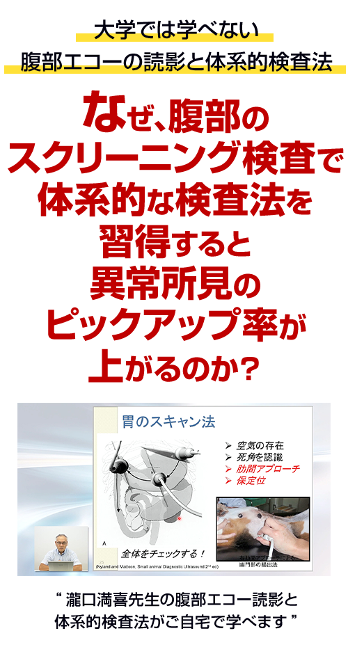 大学では学べない腹部エコーの読影と体系的検査法 なぜ、腹部のスクリーニング検査で体型的な検査法を習得すると 異常所見のピックアップ率が 上がるのか？ 
