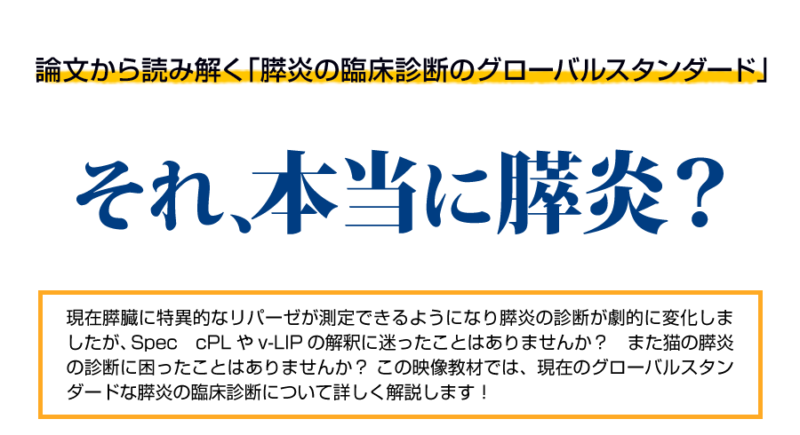 膵炎の他の治療法にはどのようなものがありますか?