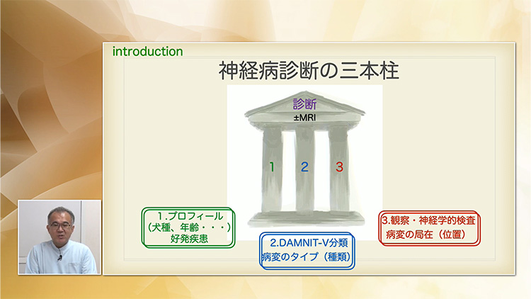 神経病の診断は、この「三本柱」がとても重要です