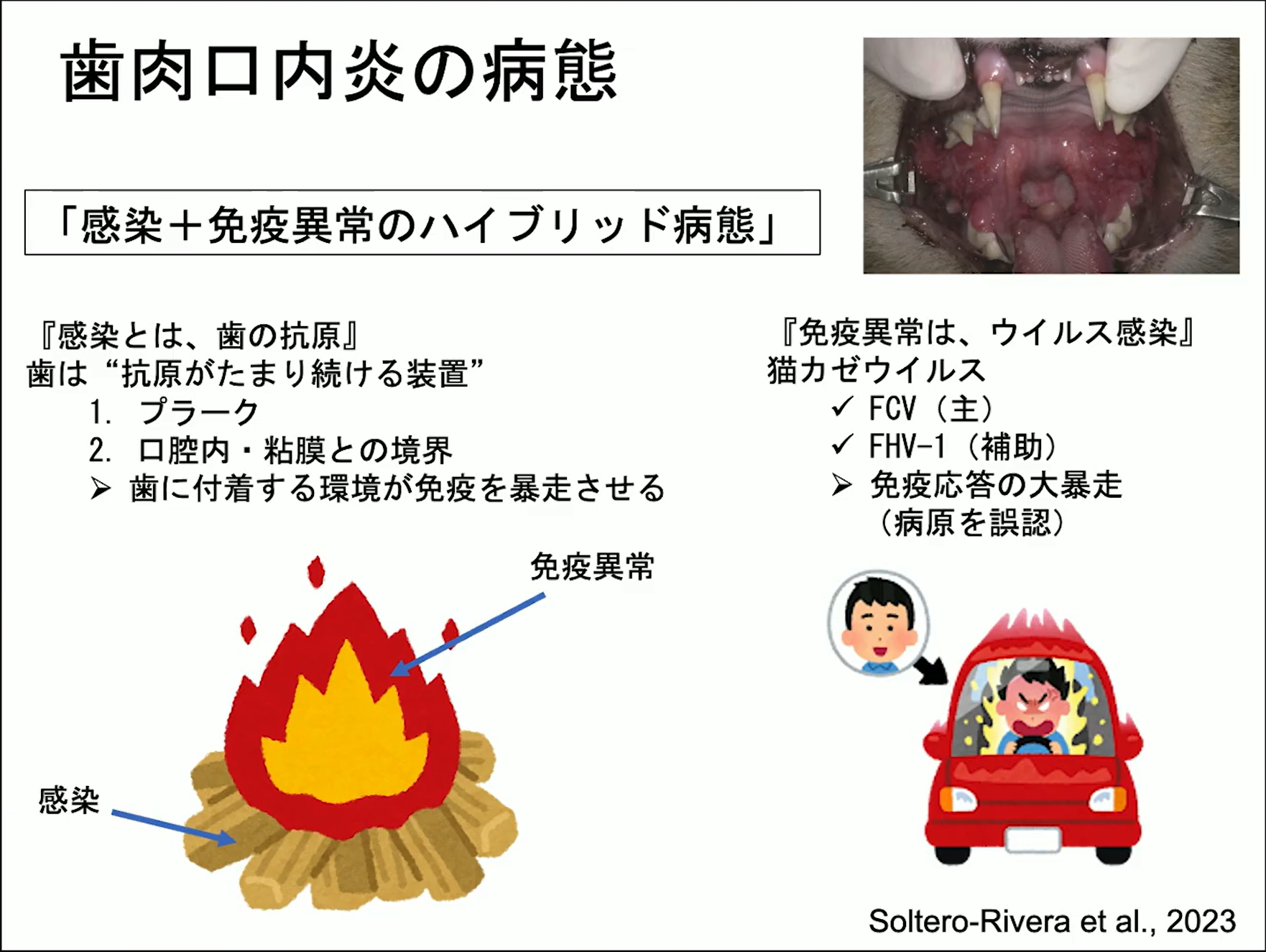 テキスト