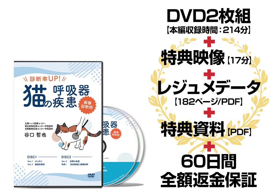 診断率UP！猫の呼吸器疾患～画像診断術～