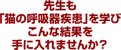 先生も「猫の呼吸器疾患」を学びこんな結果を手に入れませんか？