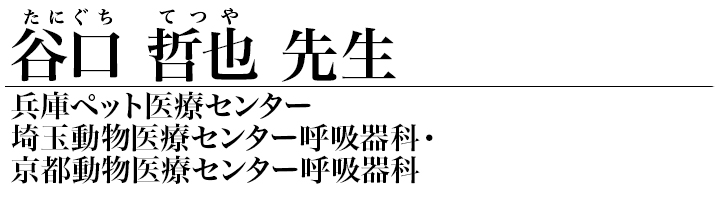 谷口 哲也 先生