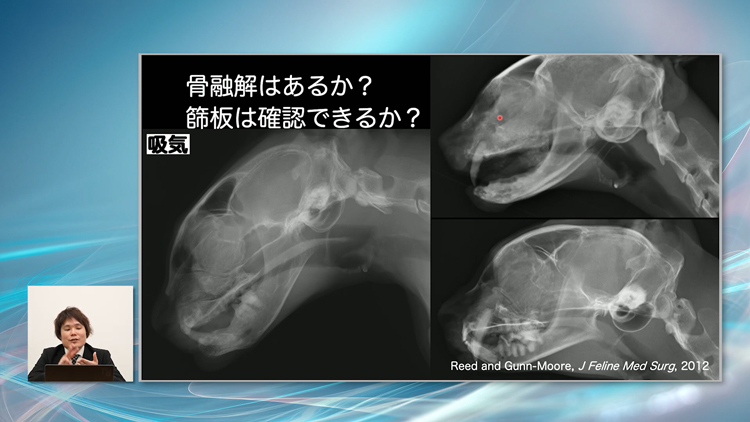 各部位ごとの「診るべきポイント」がわかります