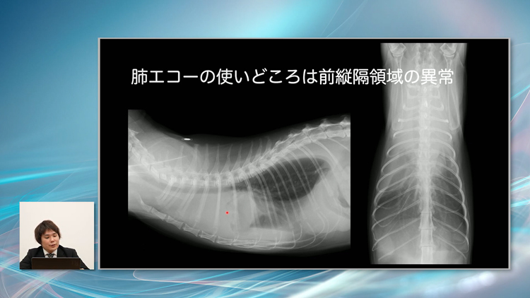 各部位ごとの「診るべきポイント」がわかります