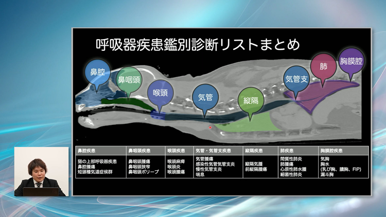 「型」にはめるだけで、もう診断に迷うことはありません