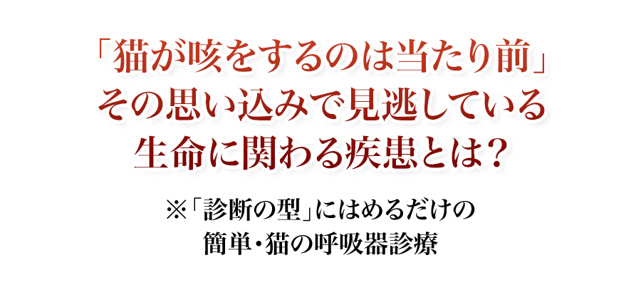 「猫が咳をするのは当たり前」その思い込みで見逃している生命に関わる疾患とは？