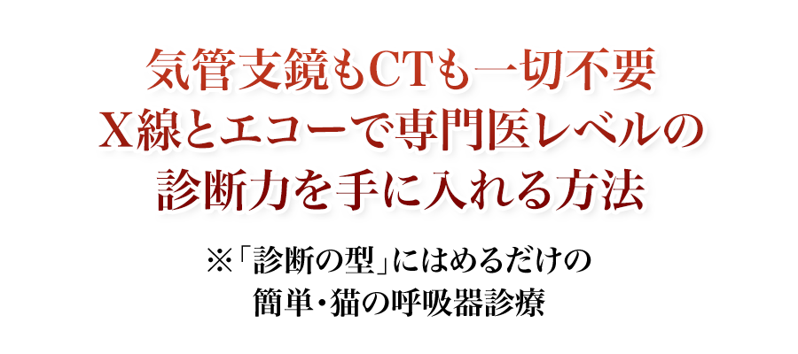 気管支鏡もCTも一切不要Ｘ線とエコーで専門医レベルの診断力を手に入れる方法