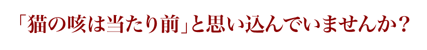 「猫の咳は当たり前」と思い込んでいませんか？