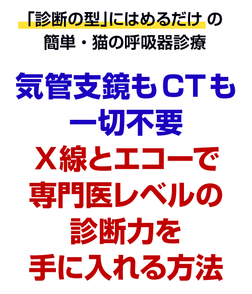 気管支鏡もCTも一切不要Ｘ線とエコーで専門医レベルの診断力を手に入れる方法