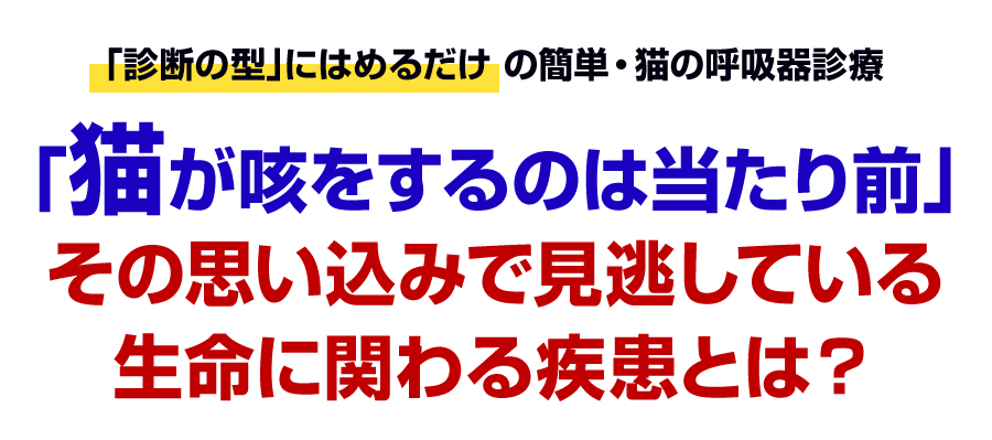 「猫が咳をするのは当たり前」その思い込みで見逃している生命に関わる疾患とは？