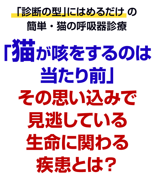 「猫が咳をするのは当たり前」その思い込みで見逃している生命に関わる疾患とは？
