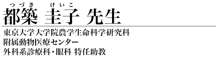 都築 圭子 先生