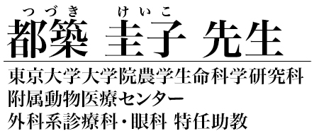 都築 圭子 先生