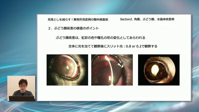 「270枚超」の症例写真で視覚的に学べます