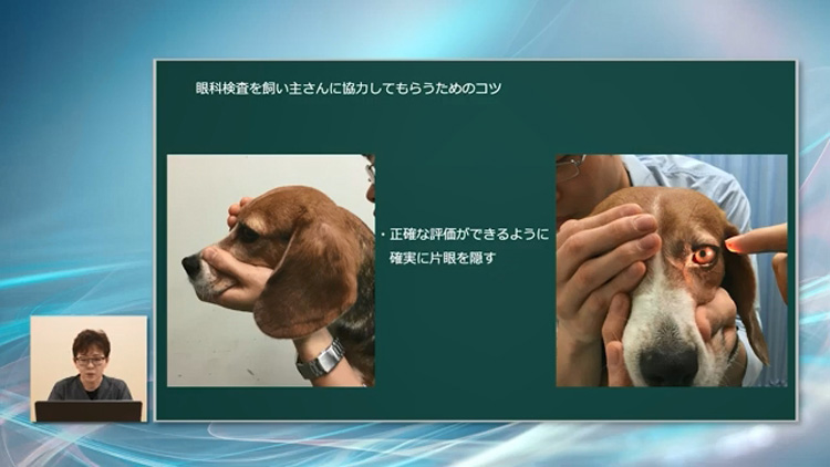 機器の設定ひとつで、「見え方」は大きく変わります