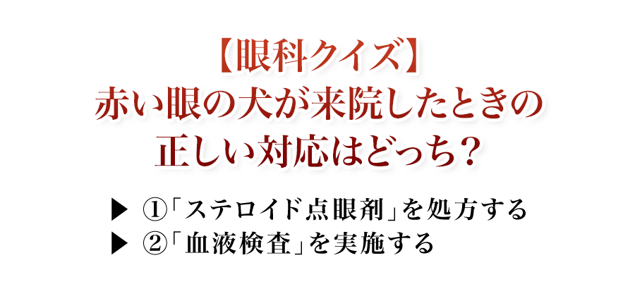赤い眼の犬が来院したときの正しい対応はどっち？