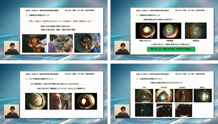 270枚超の症例写真を収録した「眼科カラーアトラスDVD」で異常の見落としを減らしませんか？