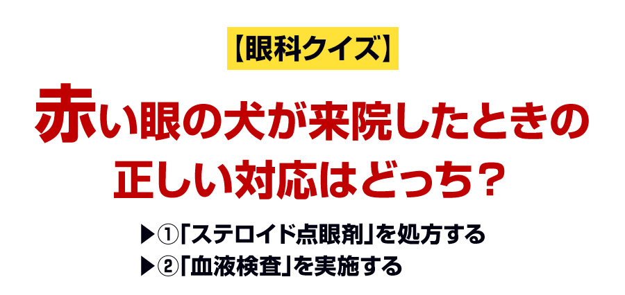 赤い眼の犬が来院したときの正しい対応はどっち?