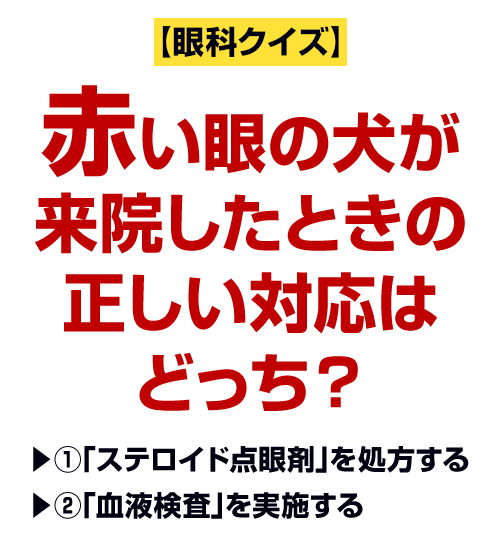 赤い眼の犬が来院したときの正しい対応はどっち？