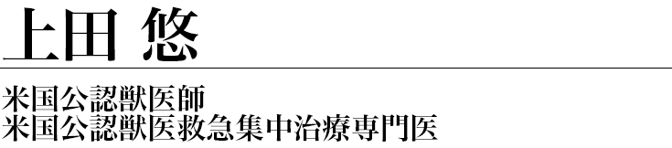 TRVA夜間救急動物医療センター院長 上田悠