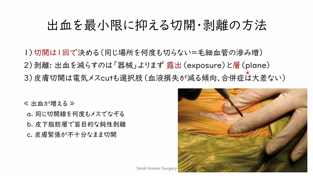 本当の「低侵襲手術」の正解が、ここにあります