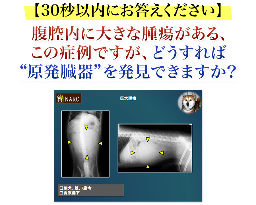 【30秒以内にお答えください】腹腔内に大きな腫瘍がある、この症例ですが、どうすれば“原発臓器”を発見できますか？