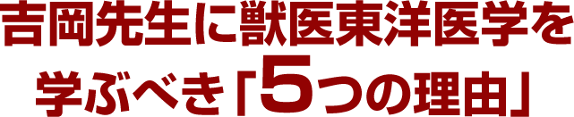 吉岡先生に獣医東洋医学を学ぶべき「5つの理由」