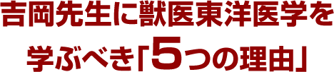 吉岡先生に獣医東洋医学を学ぶべき「5つの理由」