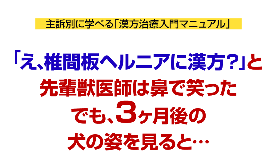 「え、椎間板ヘルニアに漢方？」と先輩獣医師は鼻で笑ったでも、3ヶ月後の犬の姿を見ると…