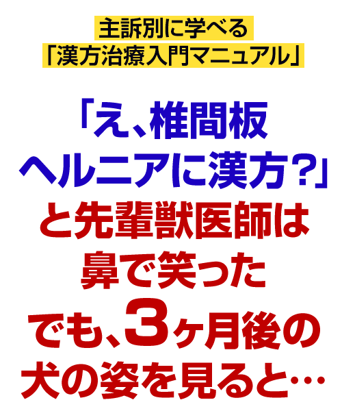 「え、椎間板ヘルニアに漢方？」と先輩獣医師は鼻で笑ったでも、3ヶ月後の犬の姿を見ると…